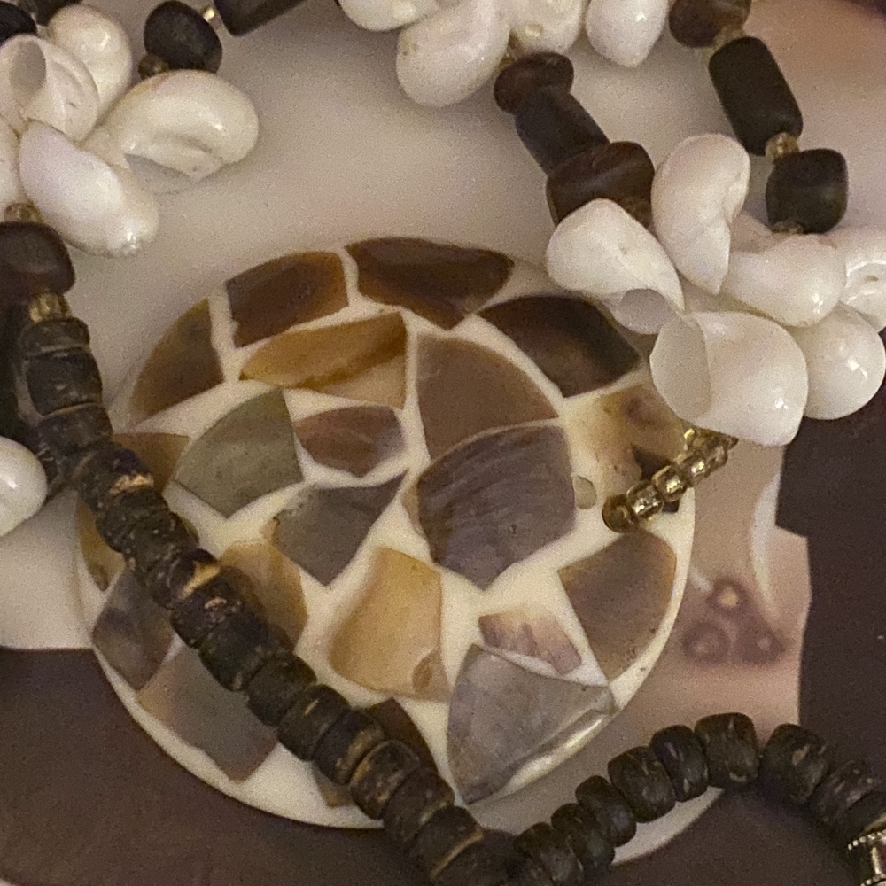 Jewelry shell - Picture 3 of 4
